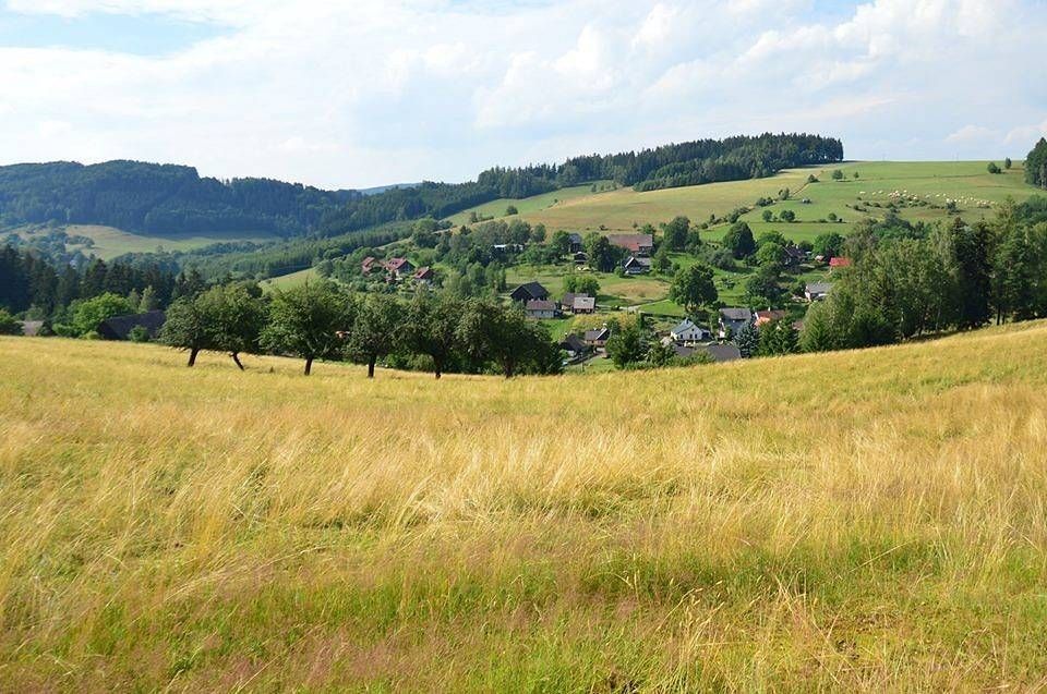 Chata · Lázně Bělohrad - Dolní Javoří, Královéhradecký kraj - 3