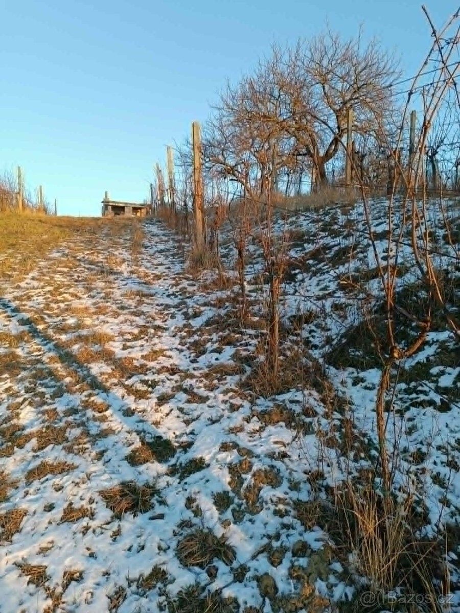 Pronájem zahrada - Uherčice u Hustopečí, 691 62