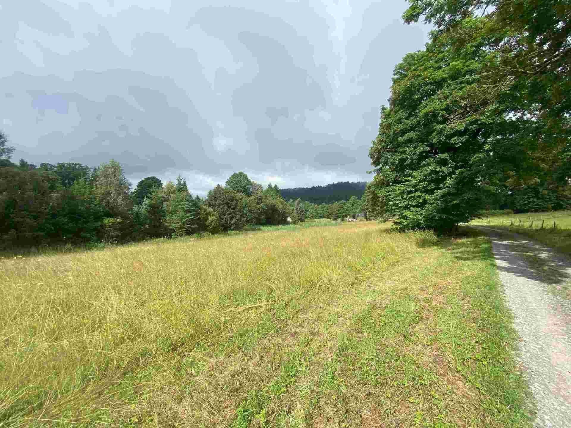 Pozemky pro bydlení, Deštné v Orlických horách, 1 500 m² - 2