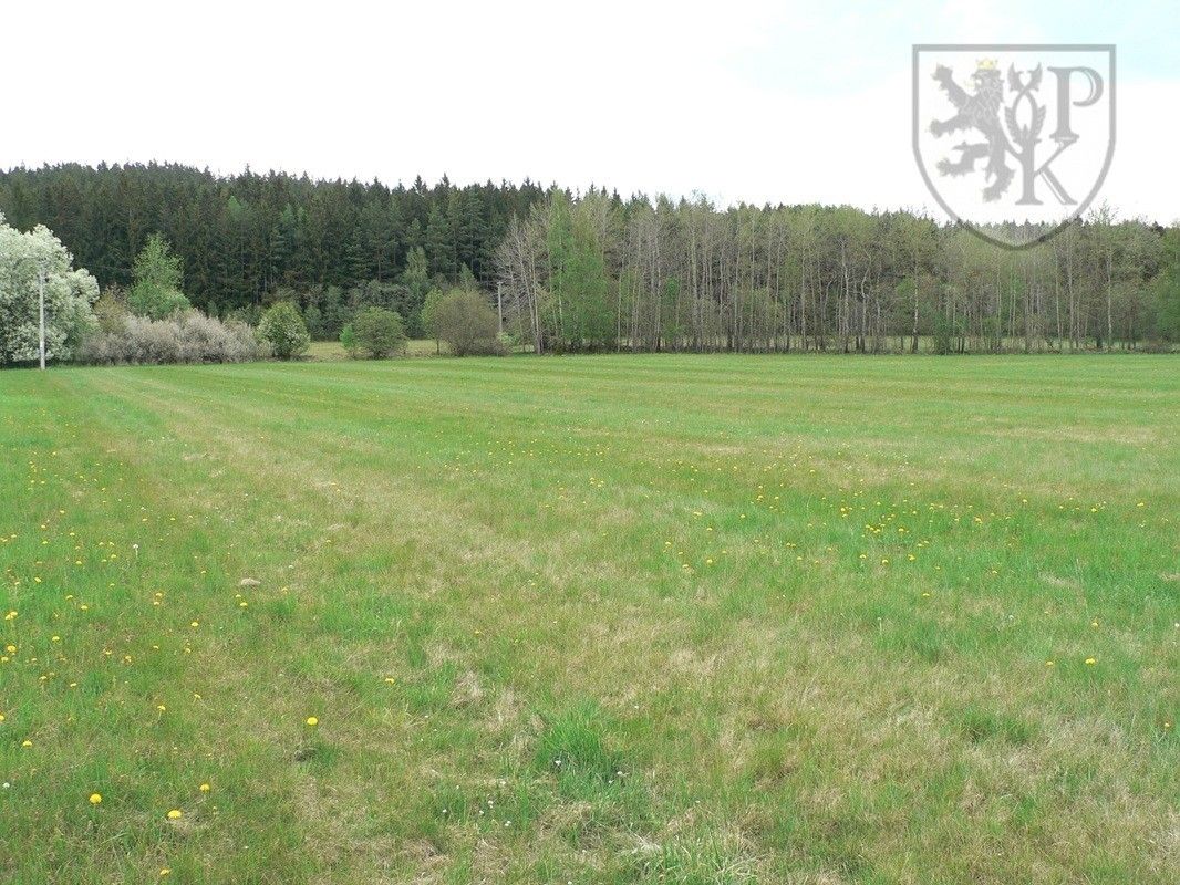 Prodej pozemek pro bydlení - Stachy, 9 853 m² - 5