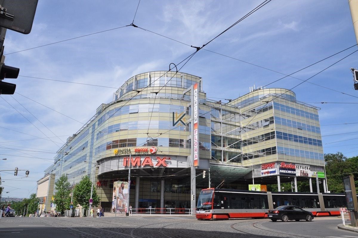 Kanceláře, Vinohradská, Praha, 18 m²