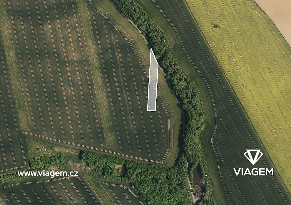 Prodej zemědělský pozemek - Halenkovice, okres Zlín, Zlínský kraj - 2