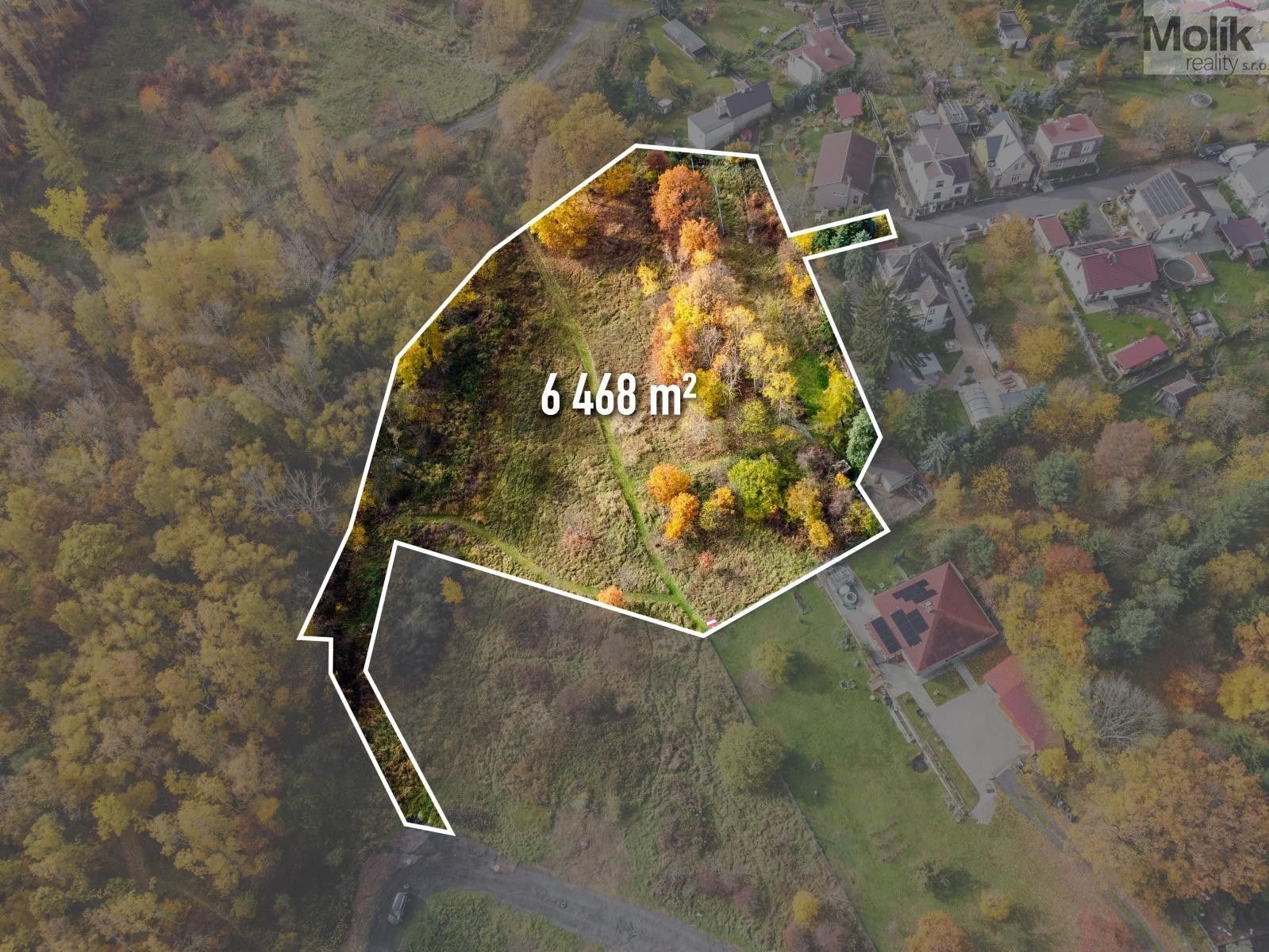 Prodej pozemek pro bydlení - Střelná, Košťany, 6 468 m²