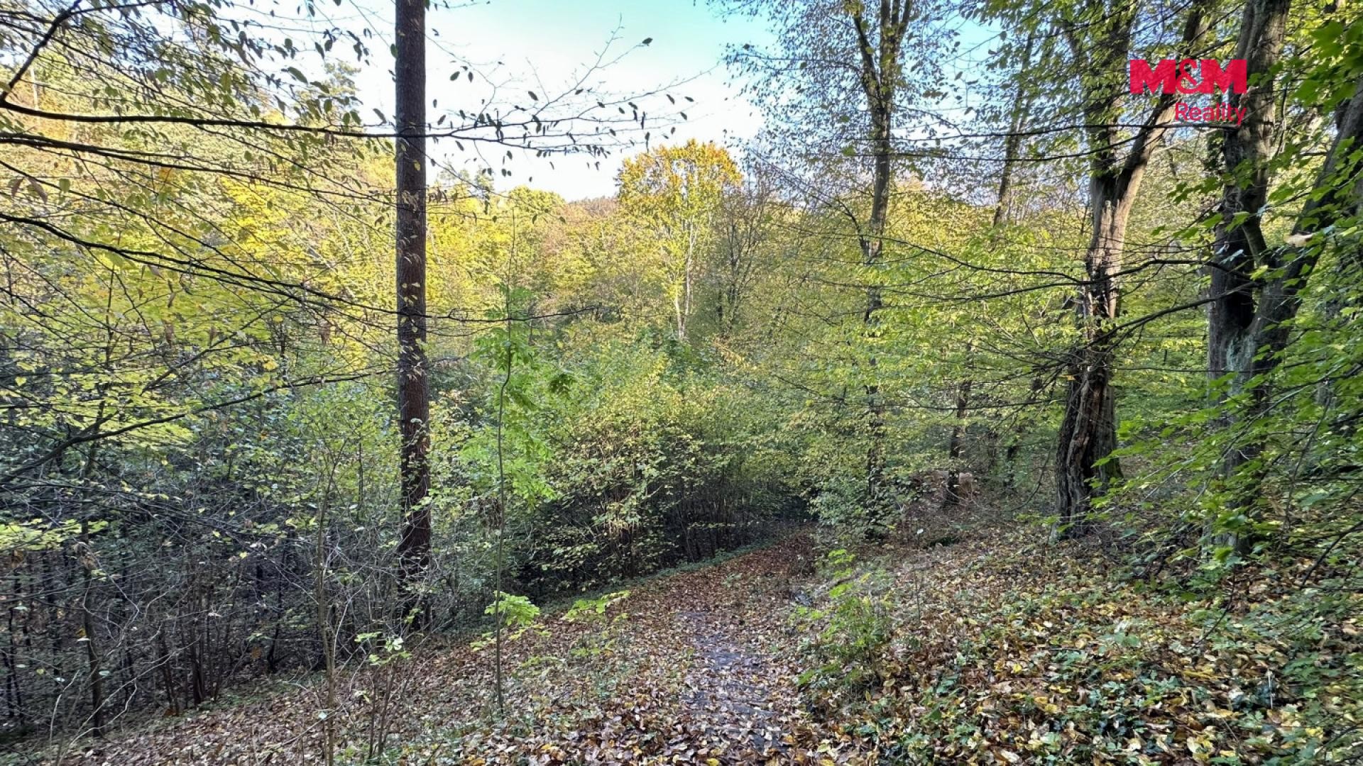 Prodej louka - Bělá pod Bezdězem - 5