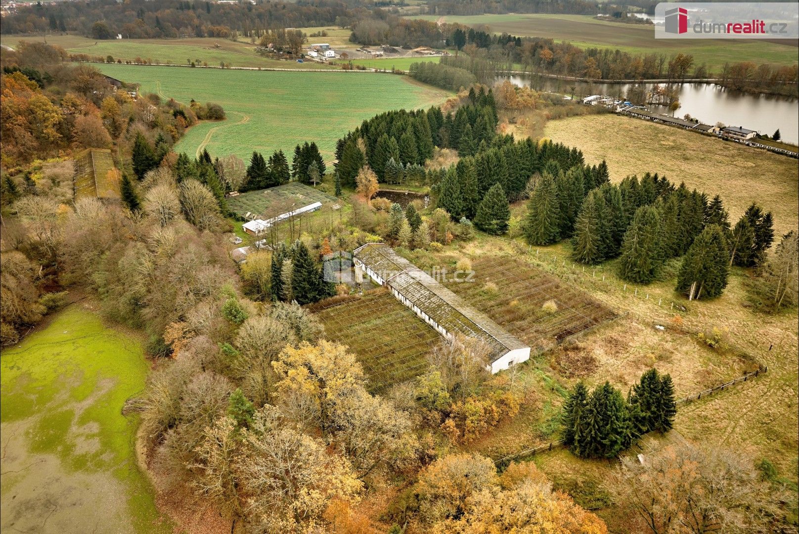 Prodej komerční pozemek - Chodová Planá, 126 960 m²