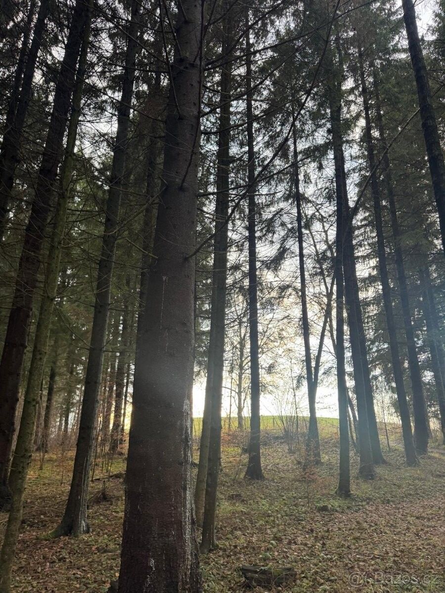 Pozemky pro bydlení, Francova Lhota, 756 14