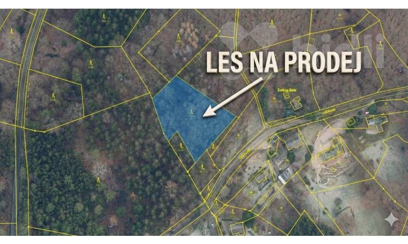 Prodej les - Šumburk nad Desnou, Tanvald