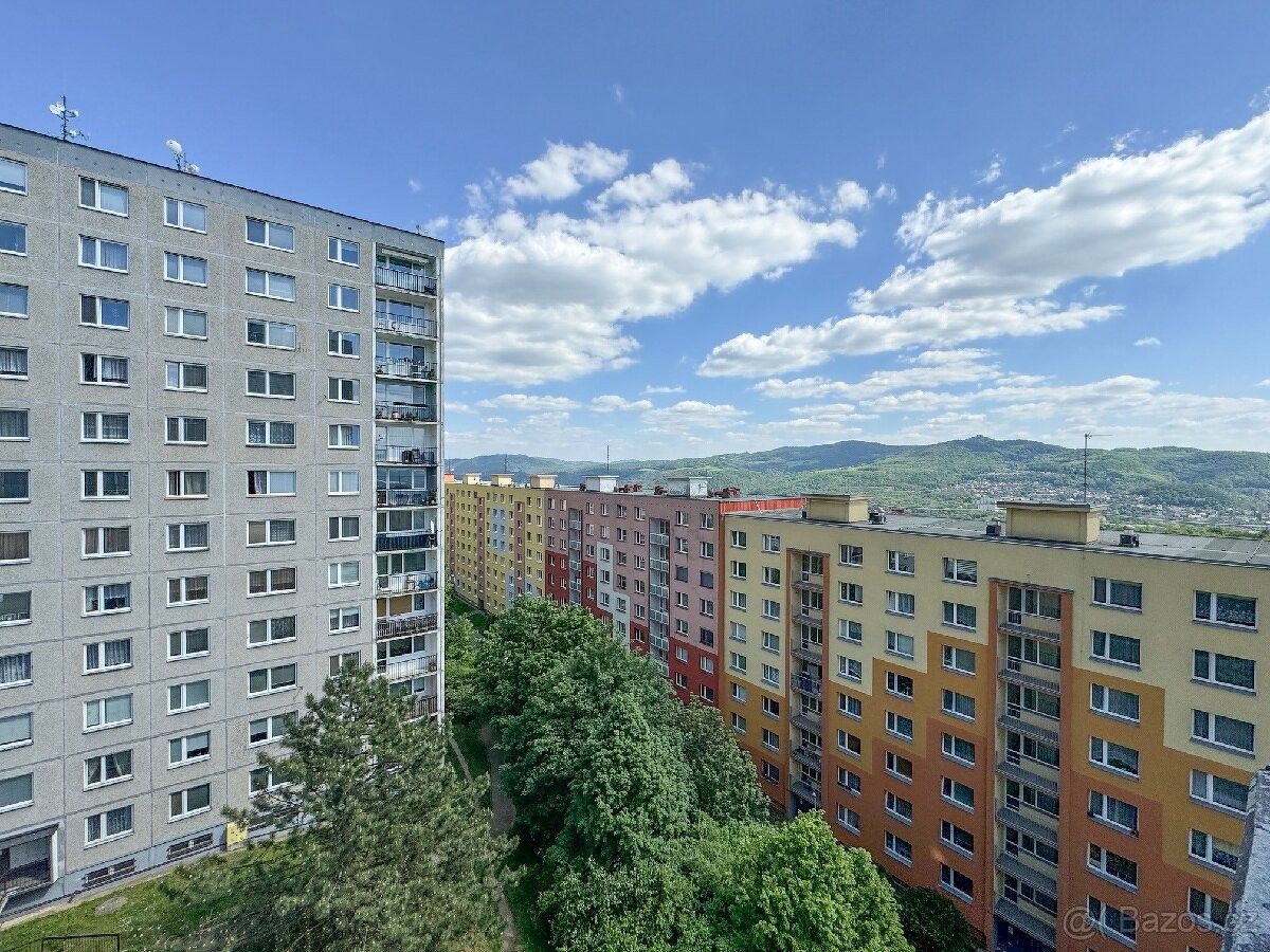 1+1, Ústí nad Labem, 400 01, 35 m²