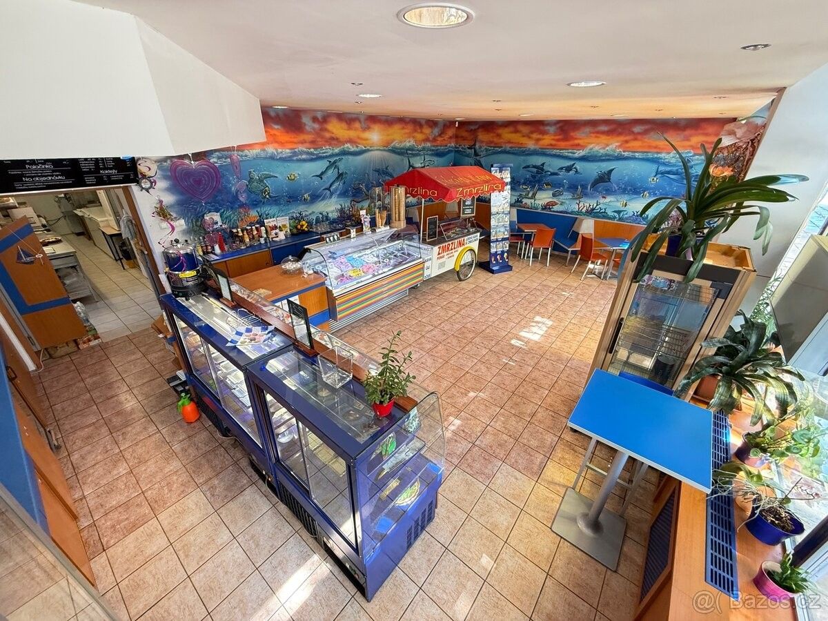 Obchodní prostory, Praha, 150 00