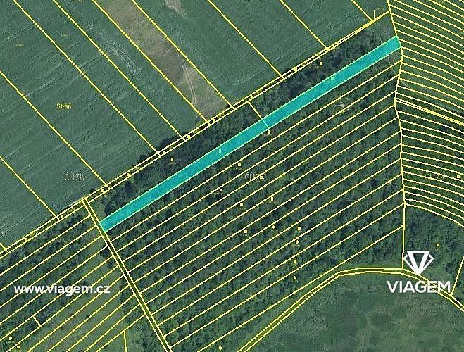 Prodej zemědělský pozemek - Cetechovice, okres Kroměříž, Zlínský kraj - 2