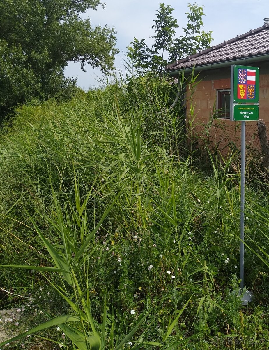 Prodej pozemek pro bydlení - Nosislav, 691 64 - 5