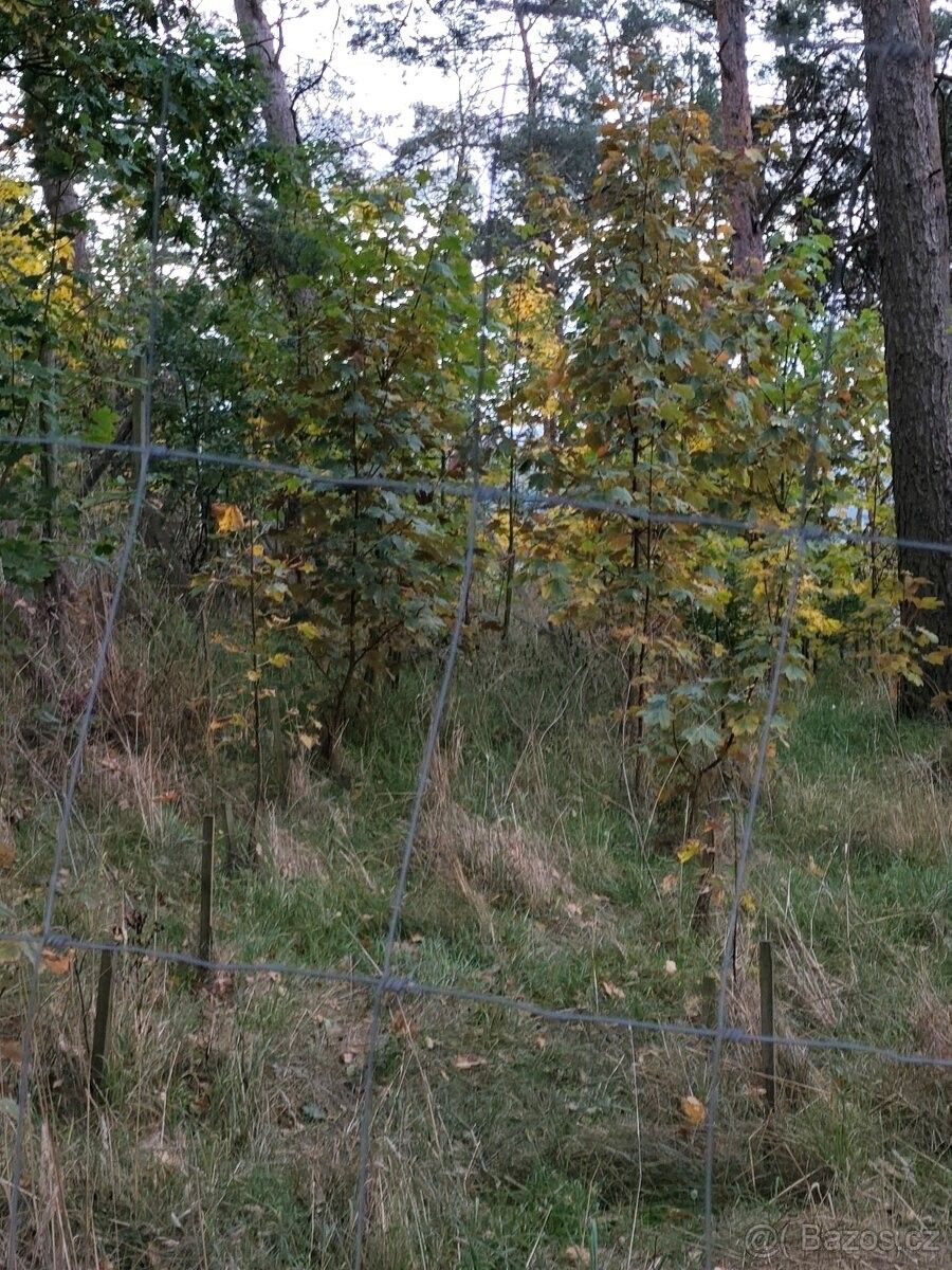 Prodej pozemek pro bydlení - Bezděkov, 339 01