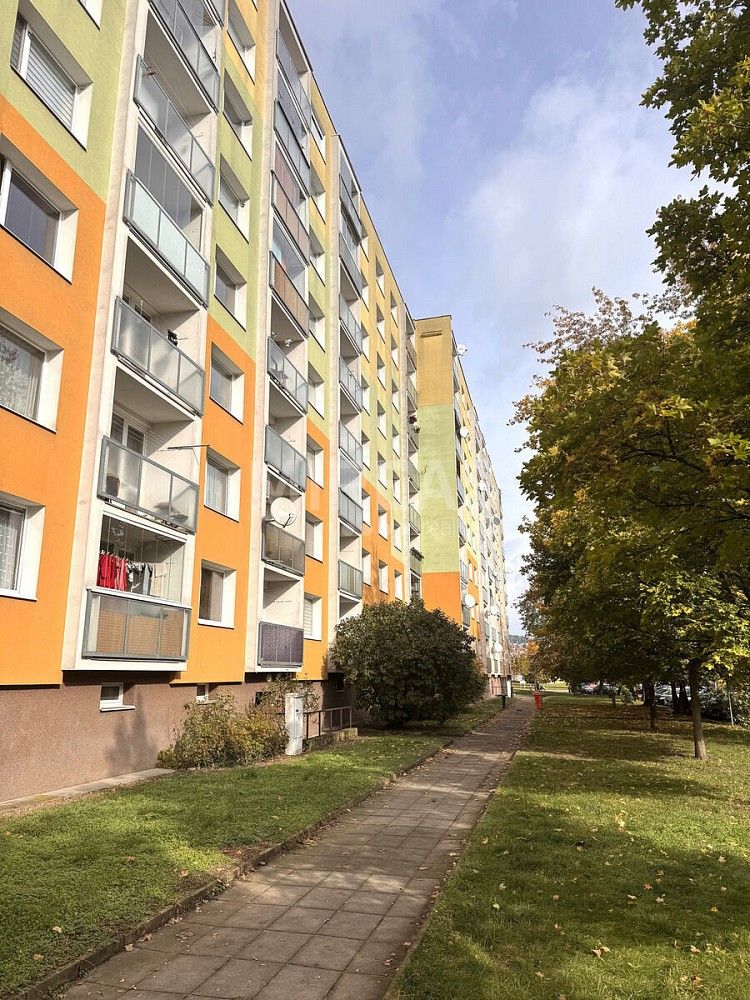 Byt 3+1, 81 m²