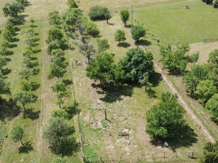 Zemědělský pozemek · 1 102 m² · Slavičín Nevšová - 4