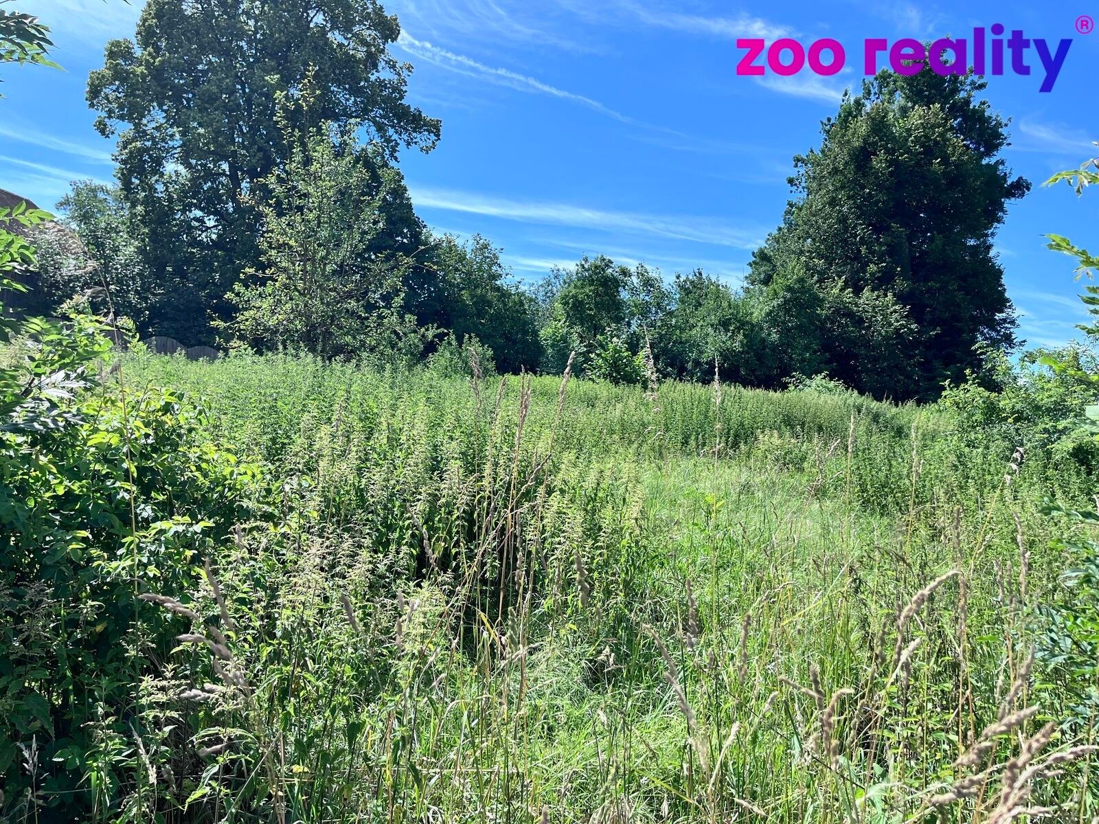 Prodej pozemek pro bydlení - Čermná ve Slezsku, 1 m²