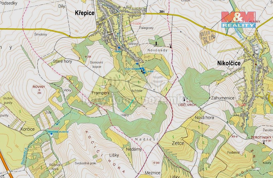 Les · Křepice, okres Břeclav, Jihomoravský kraj - 4