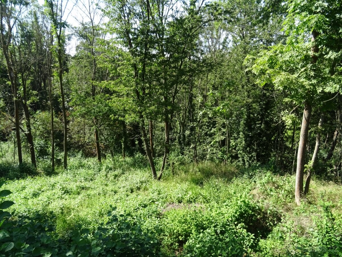 Prodej pozemek pro bydlení - Smolnice, 439 14 - 5