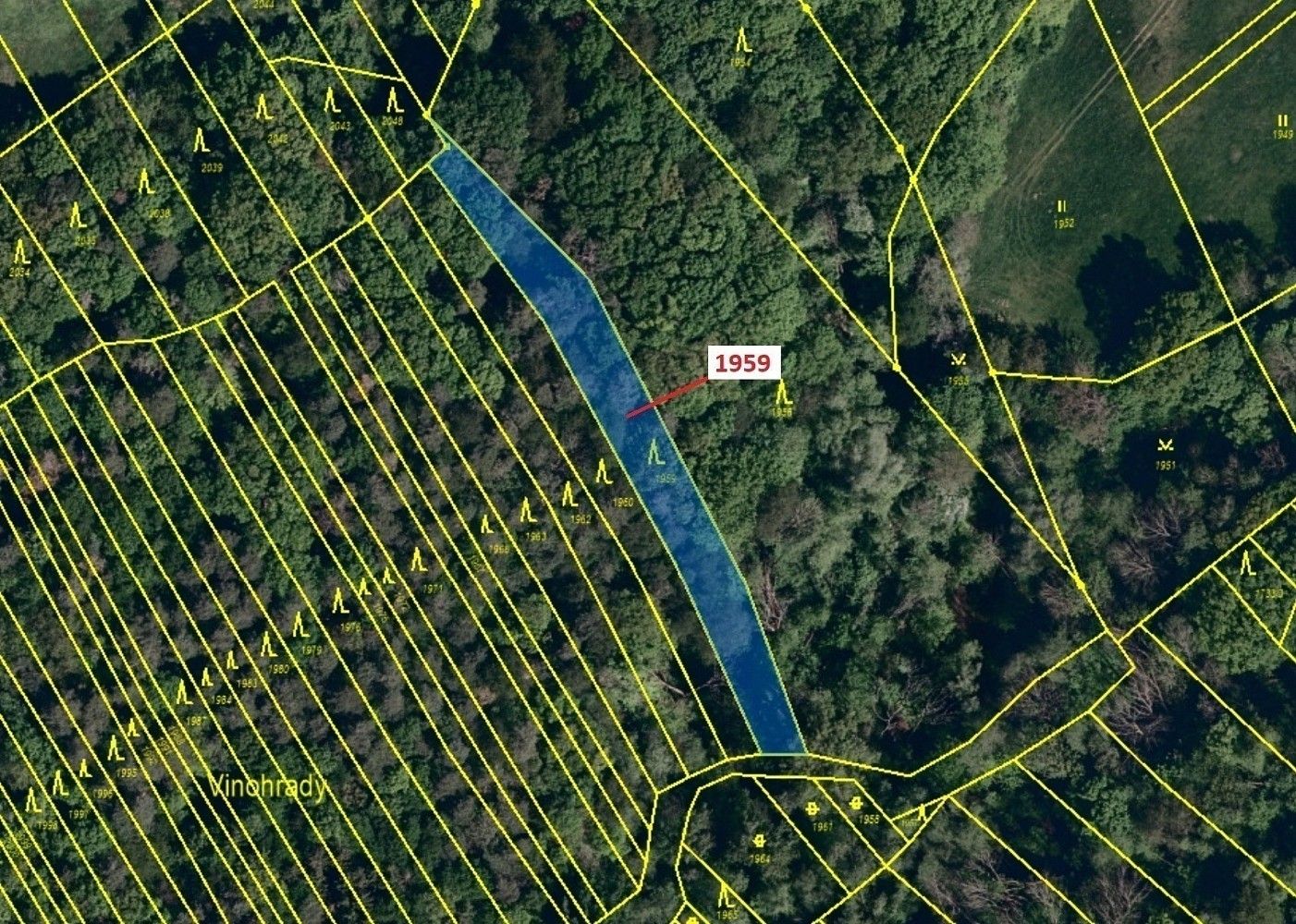 Lesy, Kelníky, okres Zlín, Zlínský kraj - 2