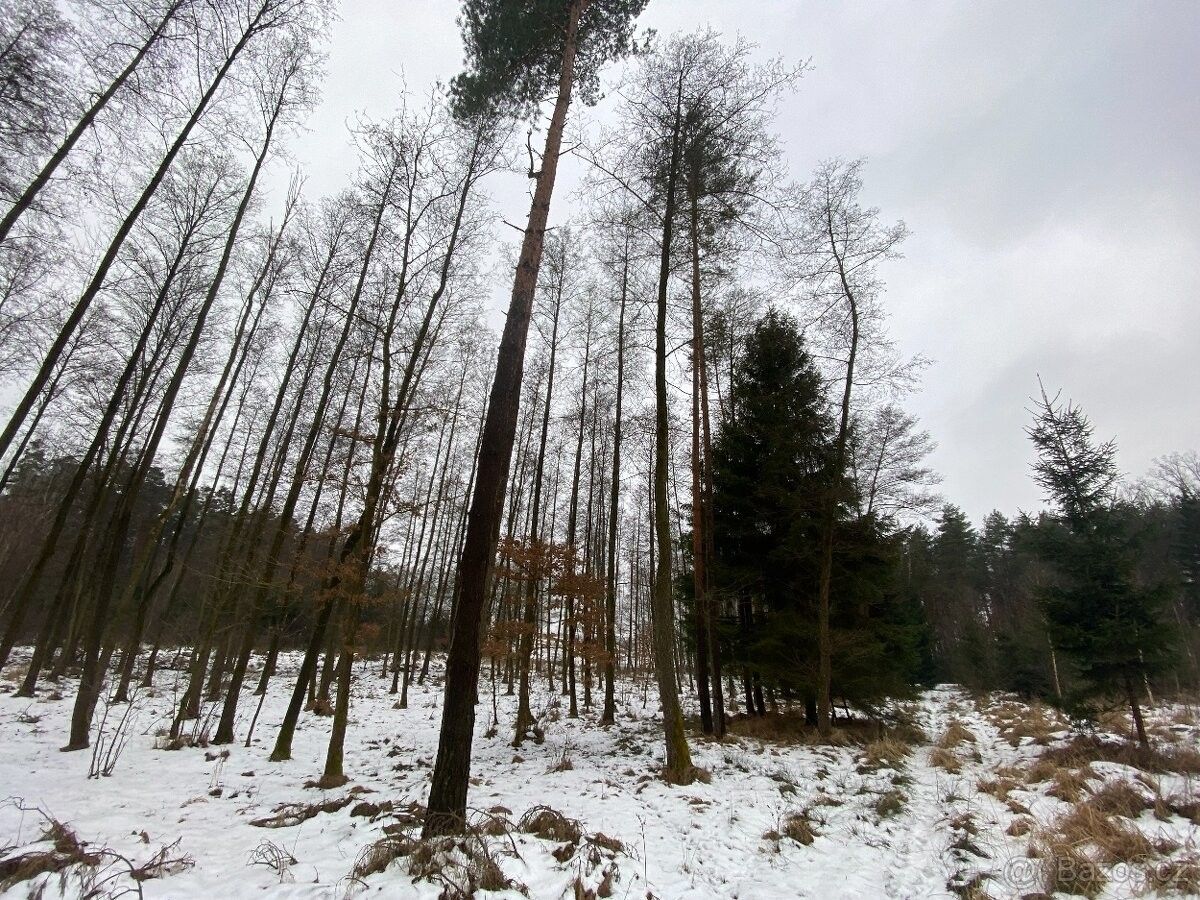 Pozemky pro bydlení, Holice v Čechách, 534 01