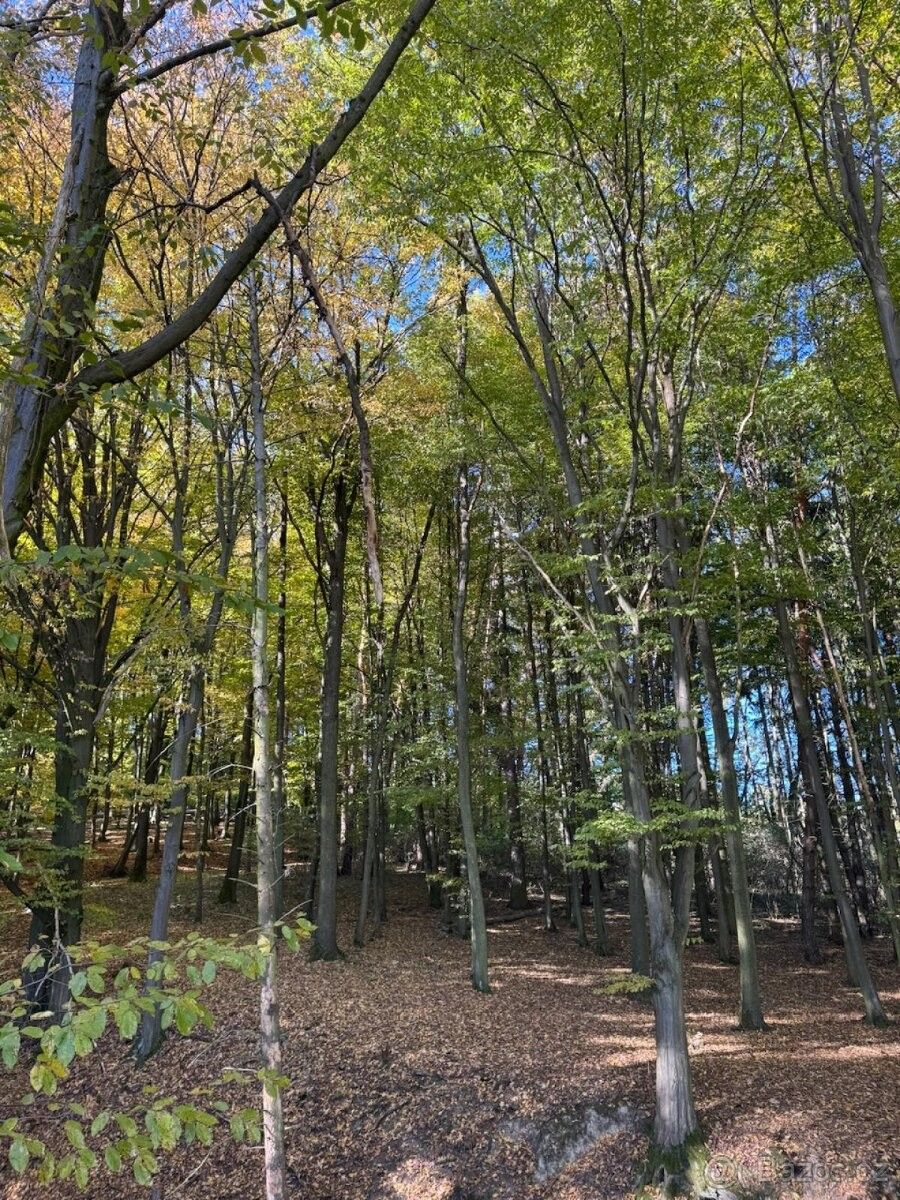 Prodej pozemek pro bydlení - Mohelnice, 789 85