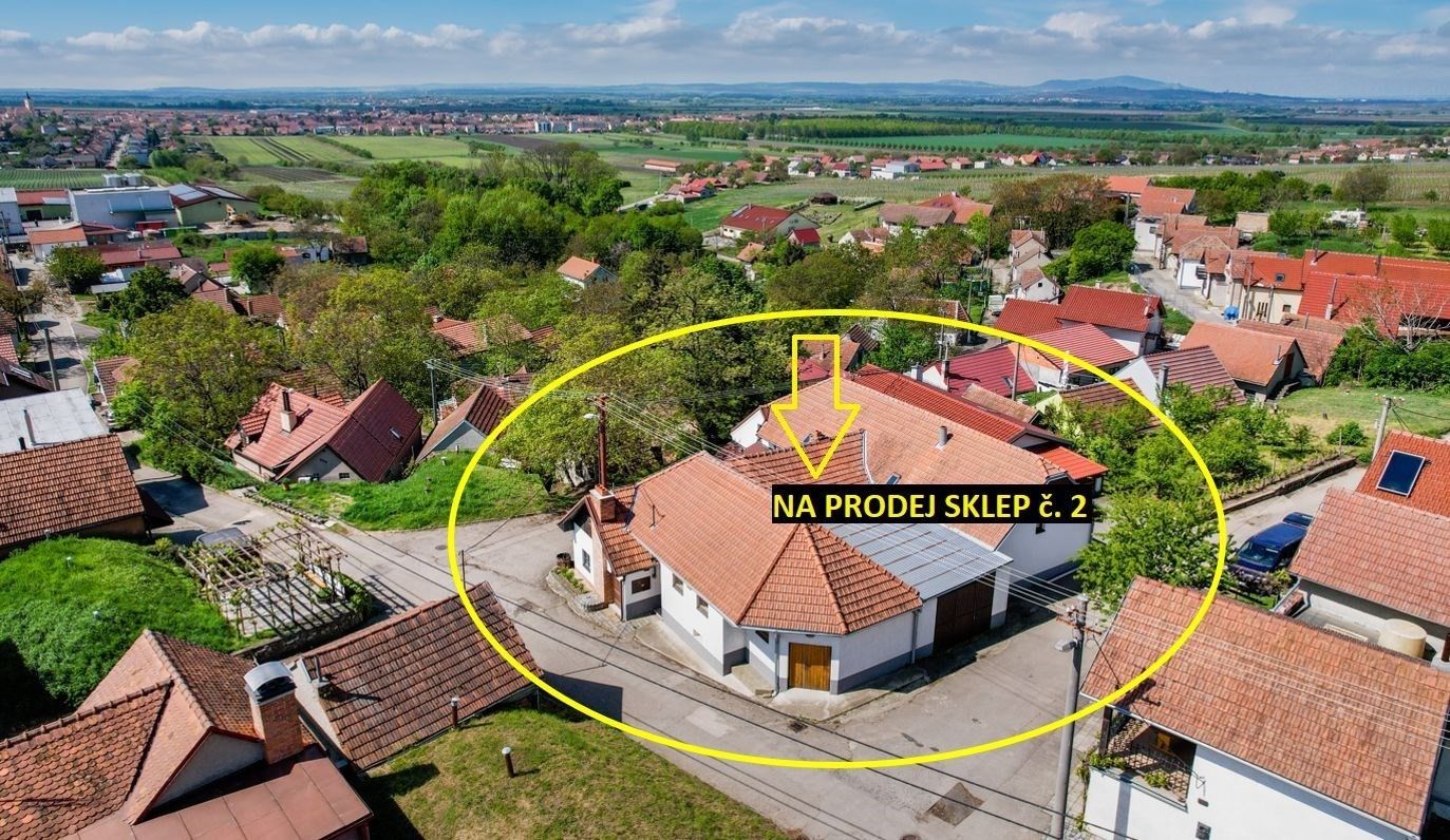 Prodej ostatní - Habánská, Velké Bílovice, 102 m²