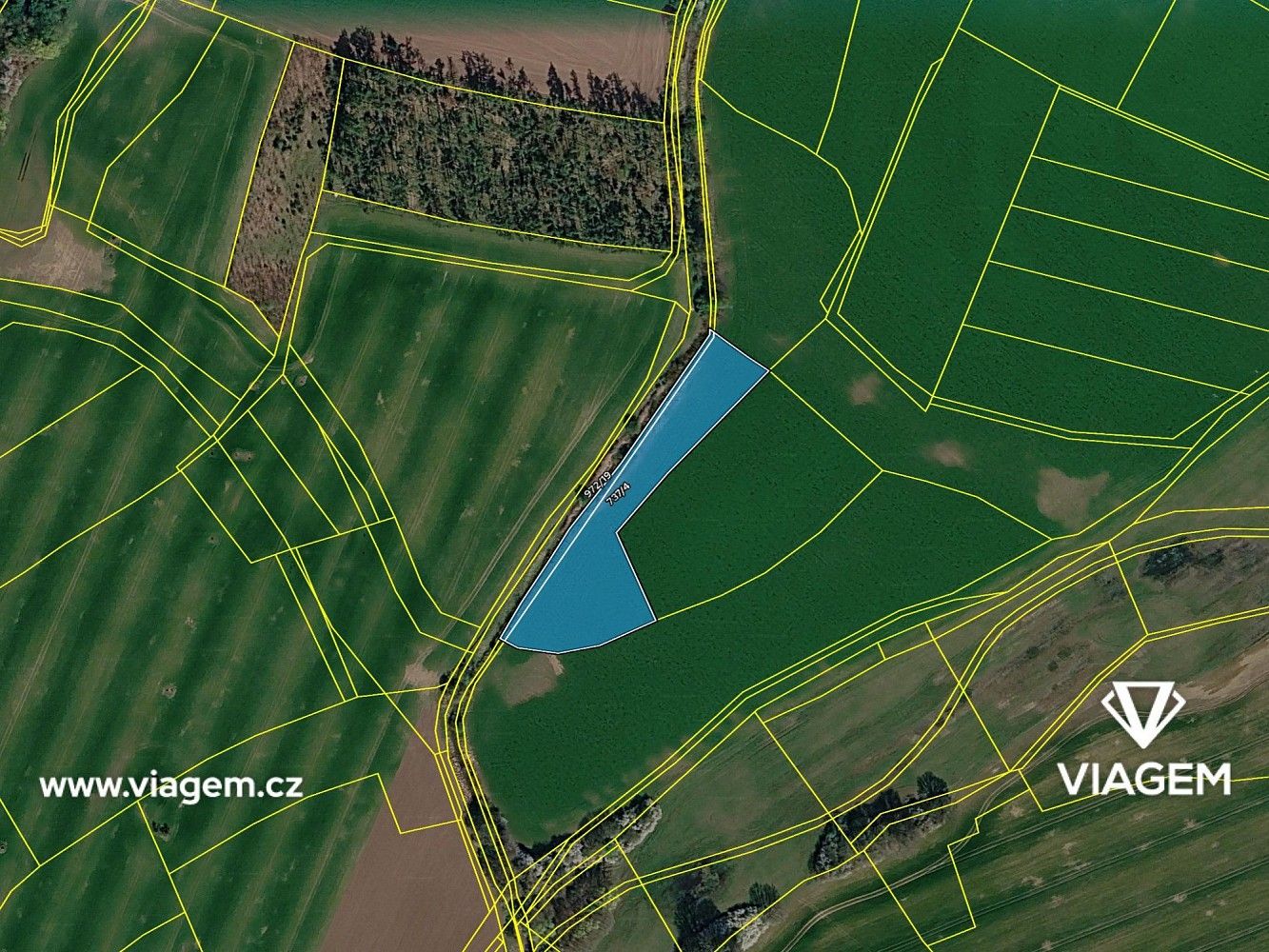 Zemědělský pozemek · Živanice, okres Pardubice - 4