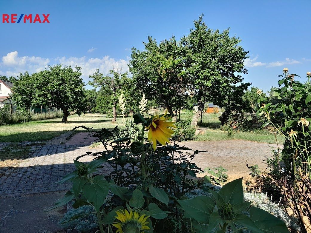 Prodej zahrada - Suchohrdly, 1 376 m²