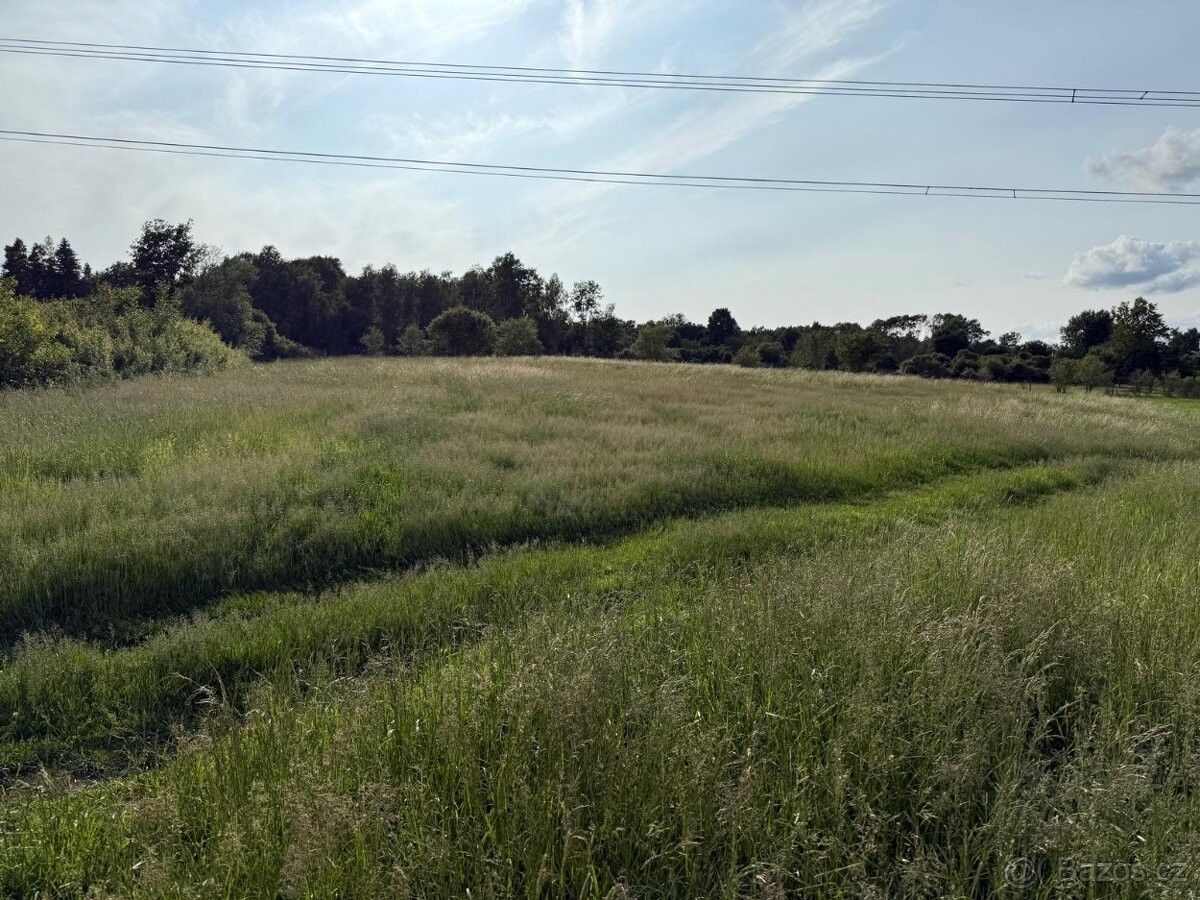 Pozemky pro bydlení, Blovice, 336 01