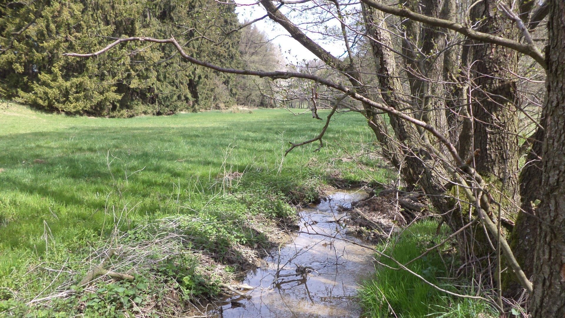 Prodej zemědělský pozemek - Mezno Stupčice, 8 388 m² - 2