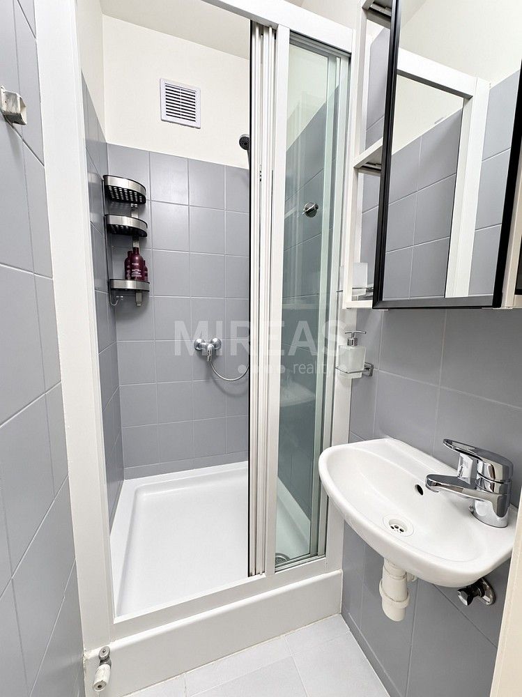 Pronájem byt 1+1 - Praha - Žižkov, Hlavní město Praha, 30 m² - 5
