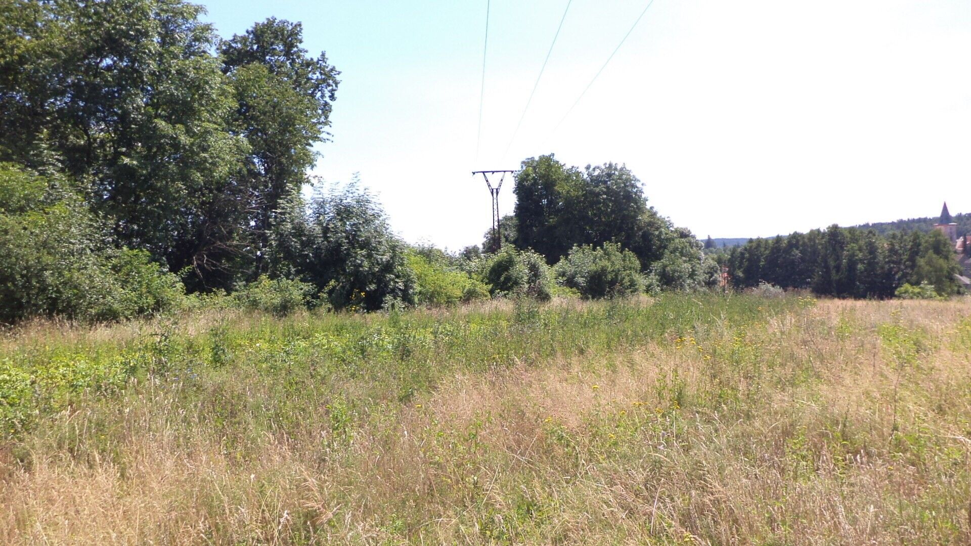 Pozemek · 15 644 m² · Stráž - 3