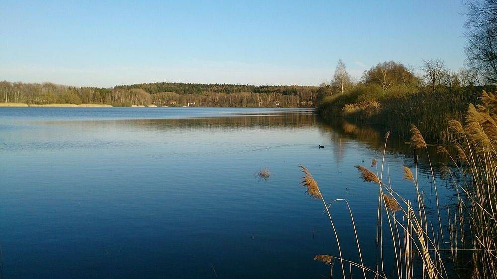 Chaty, Červený Kostelec - Olešnice u Červeného Kostelce, Královéhradecký kraj - 2