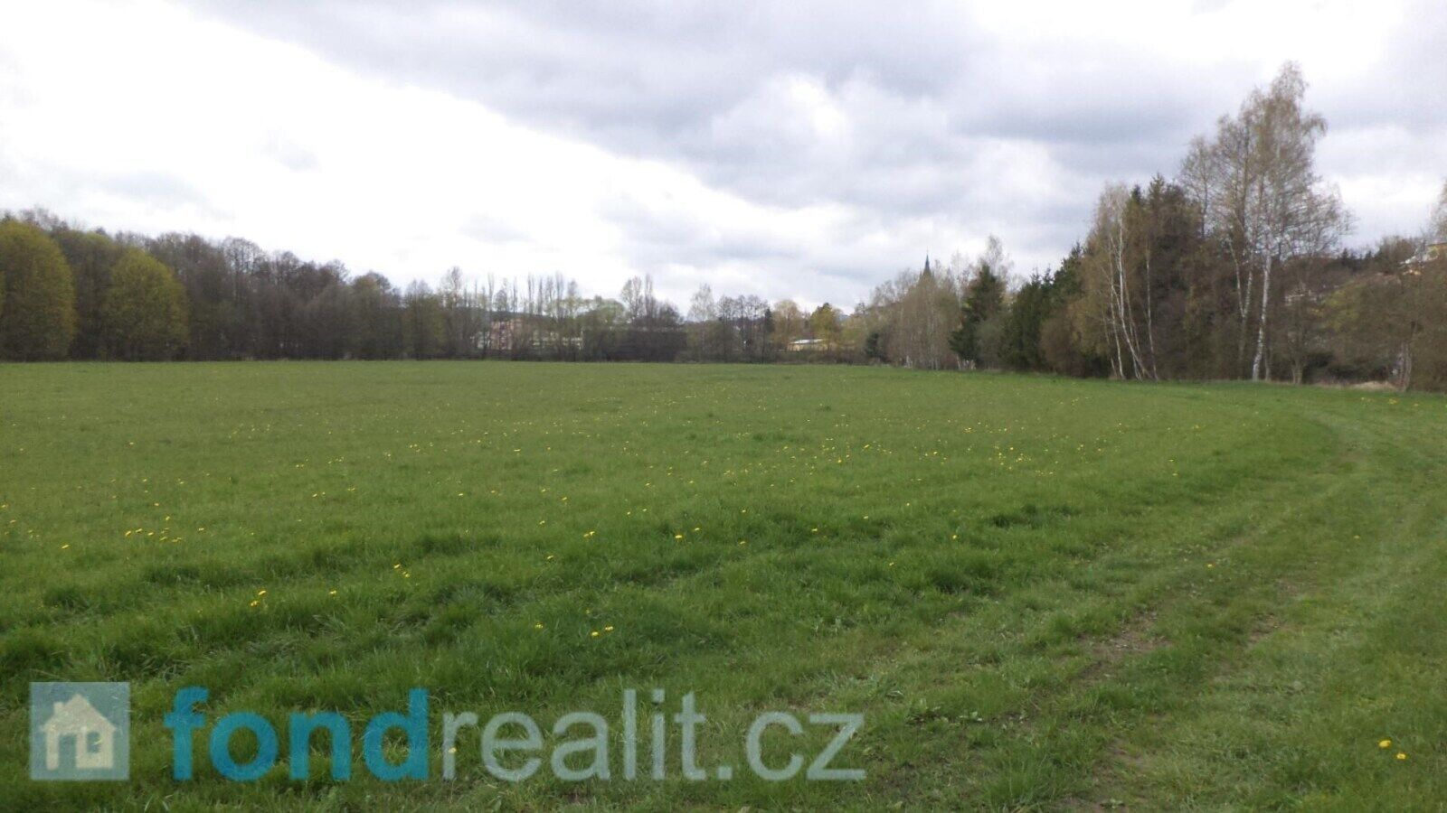 Prodej zemědělský pozemek - Tachov, 69 m²