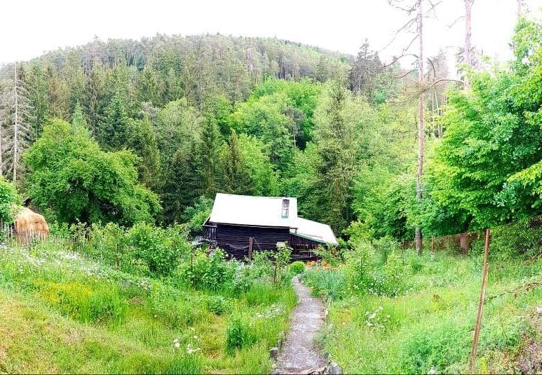 Chaty, Hvozdnice, 100 m² - 2