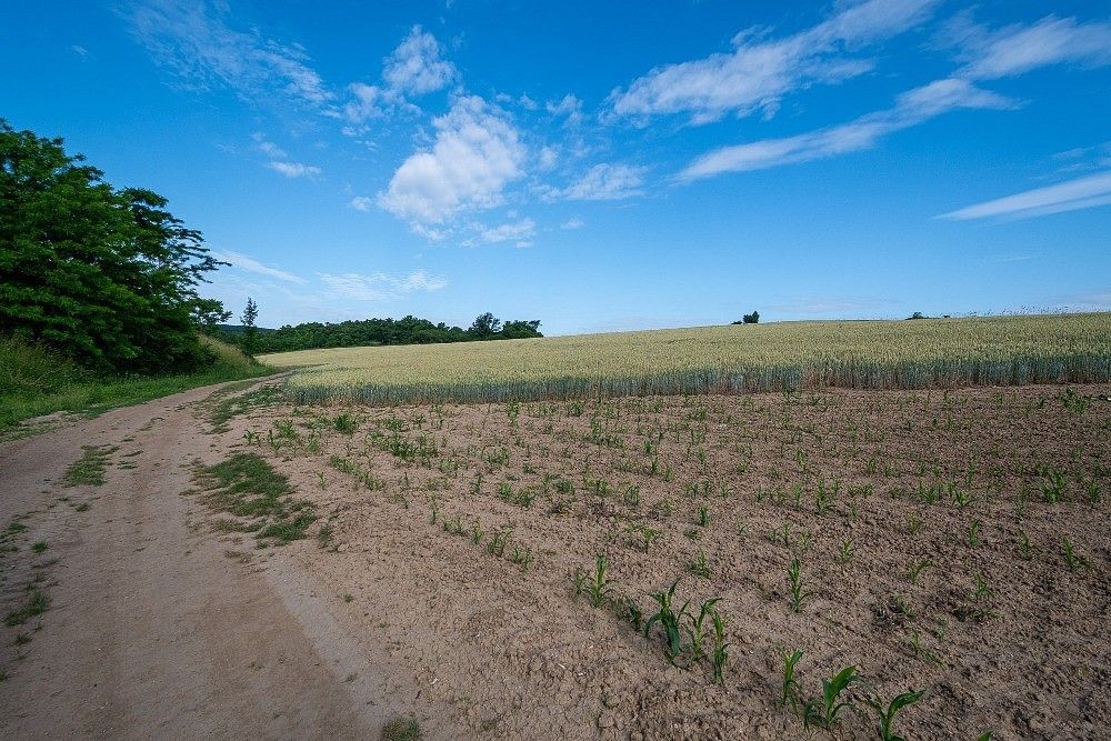 Zemědělský pozemek, 6 935 m²