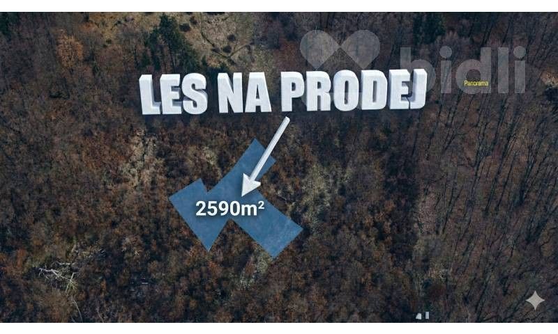 Lesy, Šumburk nad Desnou, Tanvald