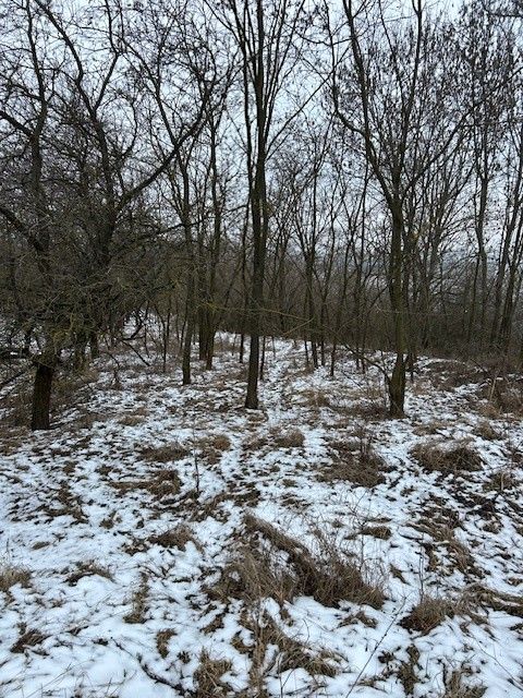 Prodej zahrada - Hustopeče u Brna, 693 01