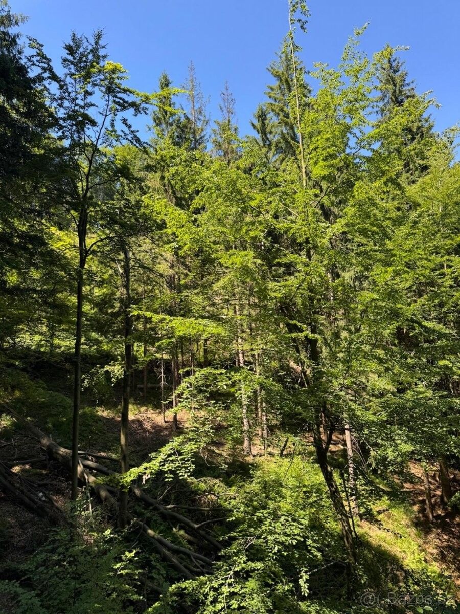 Prodej pozemek pro bydlení - Pražmo, 739 04