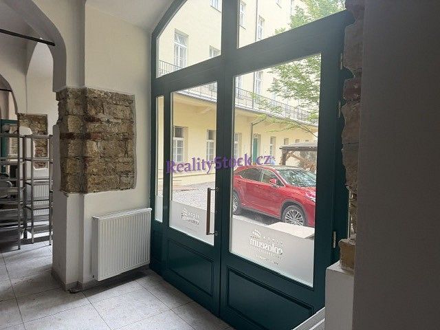 Restaurace, Václavské náměstí, Praha 1 - Nové Město, 300 m² - 1