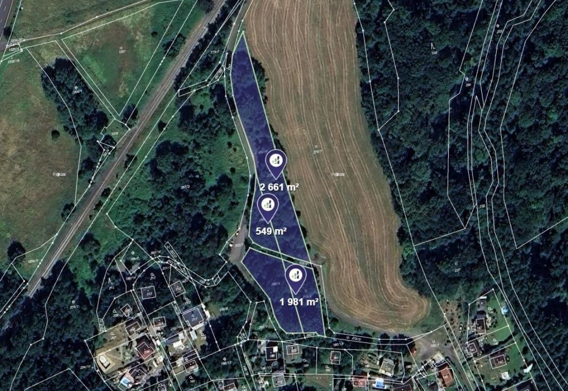 Louky, Velké Chvojno - 1