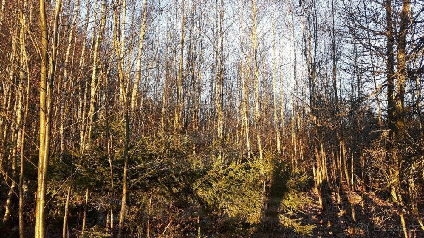 Lesy, Slapsko, 12 513 m²