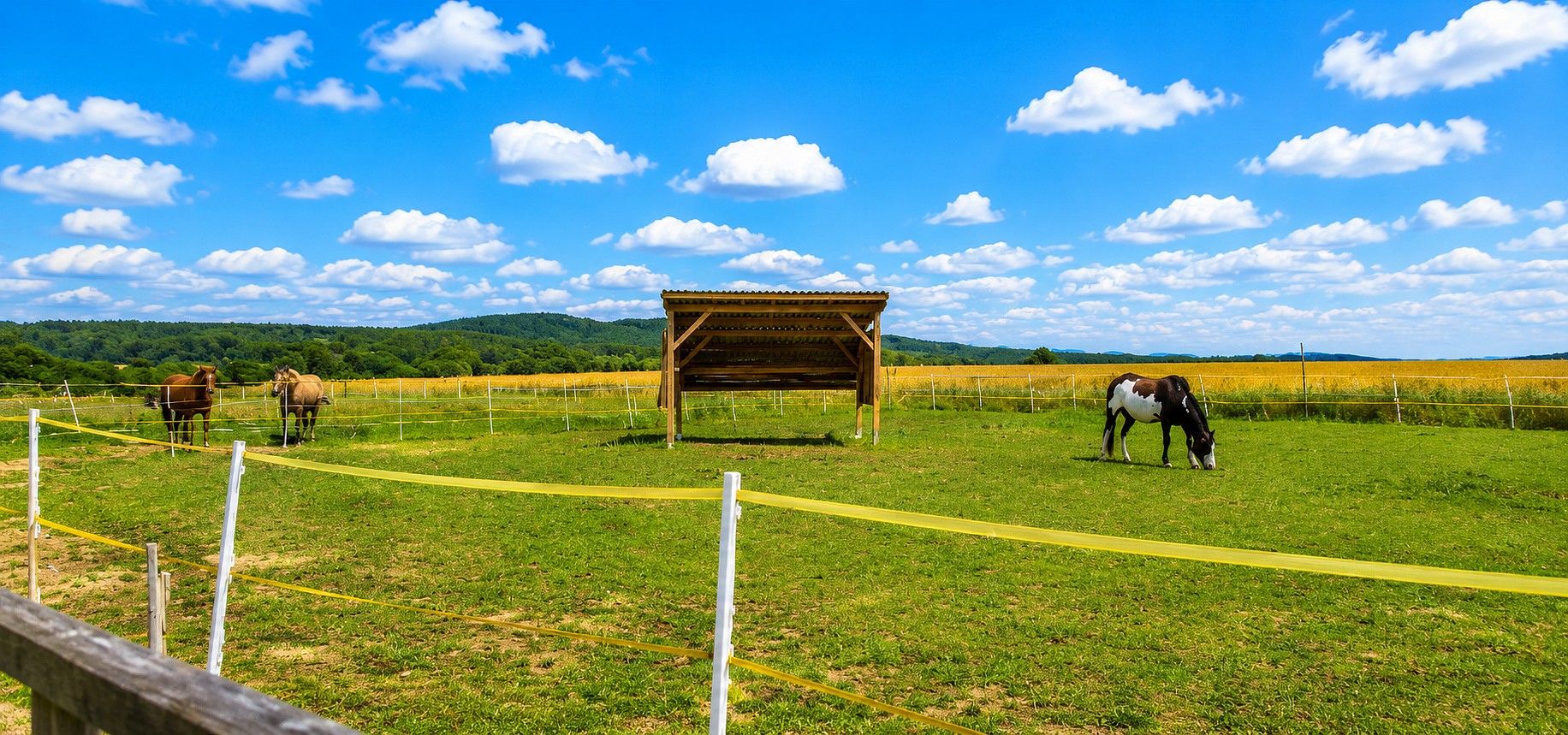 Komerční pozemky, Rpety, okres Beroun - 2