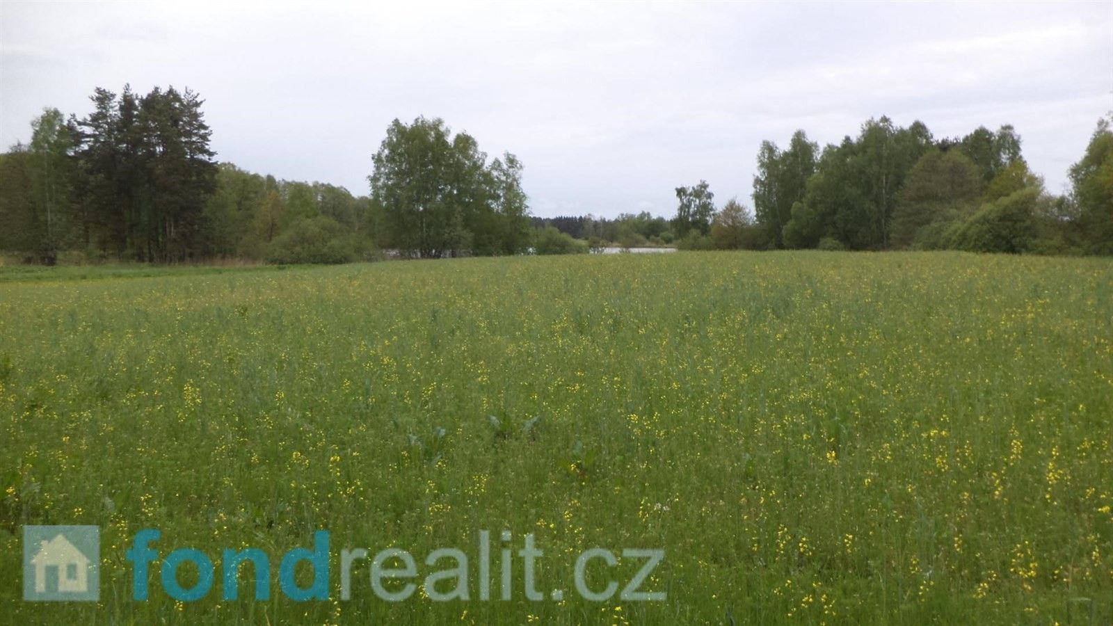 Prodej zemědělský pozemek - Lásenice, 6 162 m²