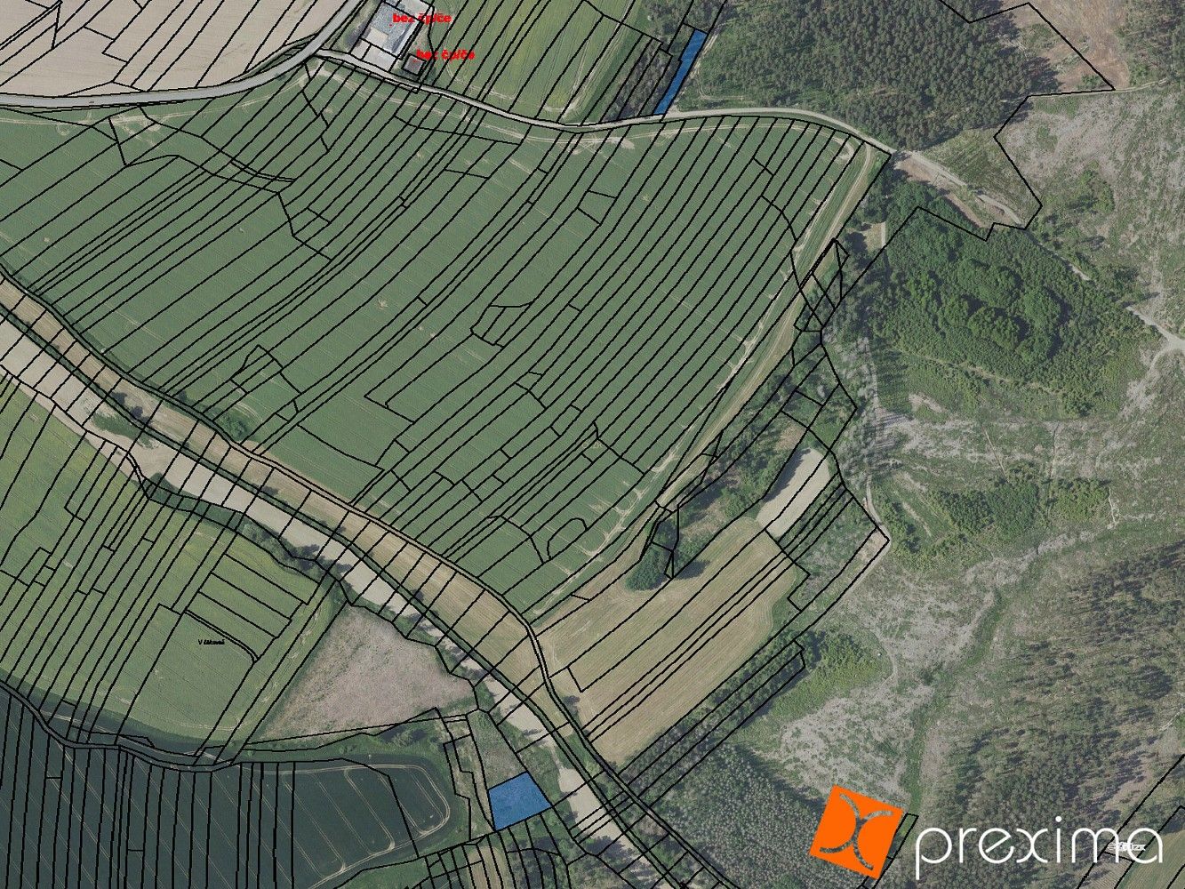 Les · Mnichovice, okres Benešov, Středočeský kraj - 3