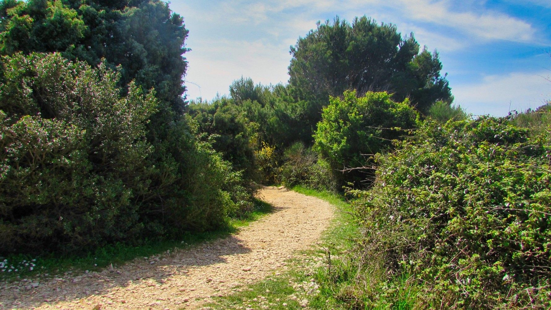 Pozemek pro bydlení · Poreč, HR - 3