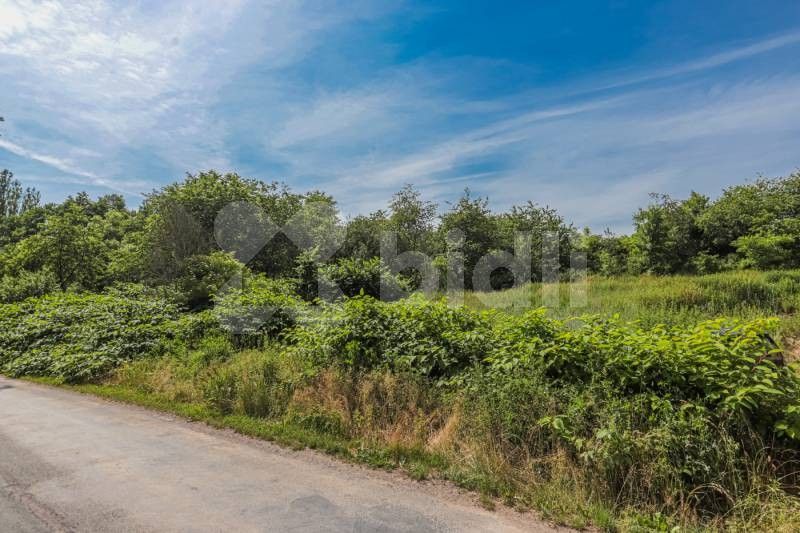 Prodej pozemek - Skapce