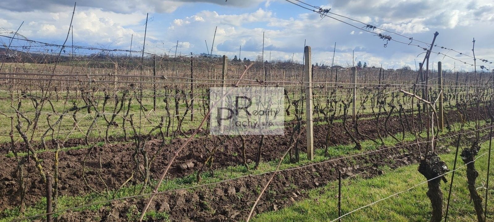 Ostatní, Drnholec, 550 m²