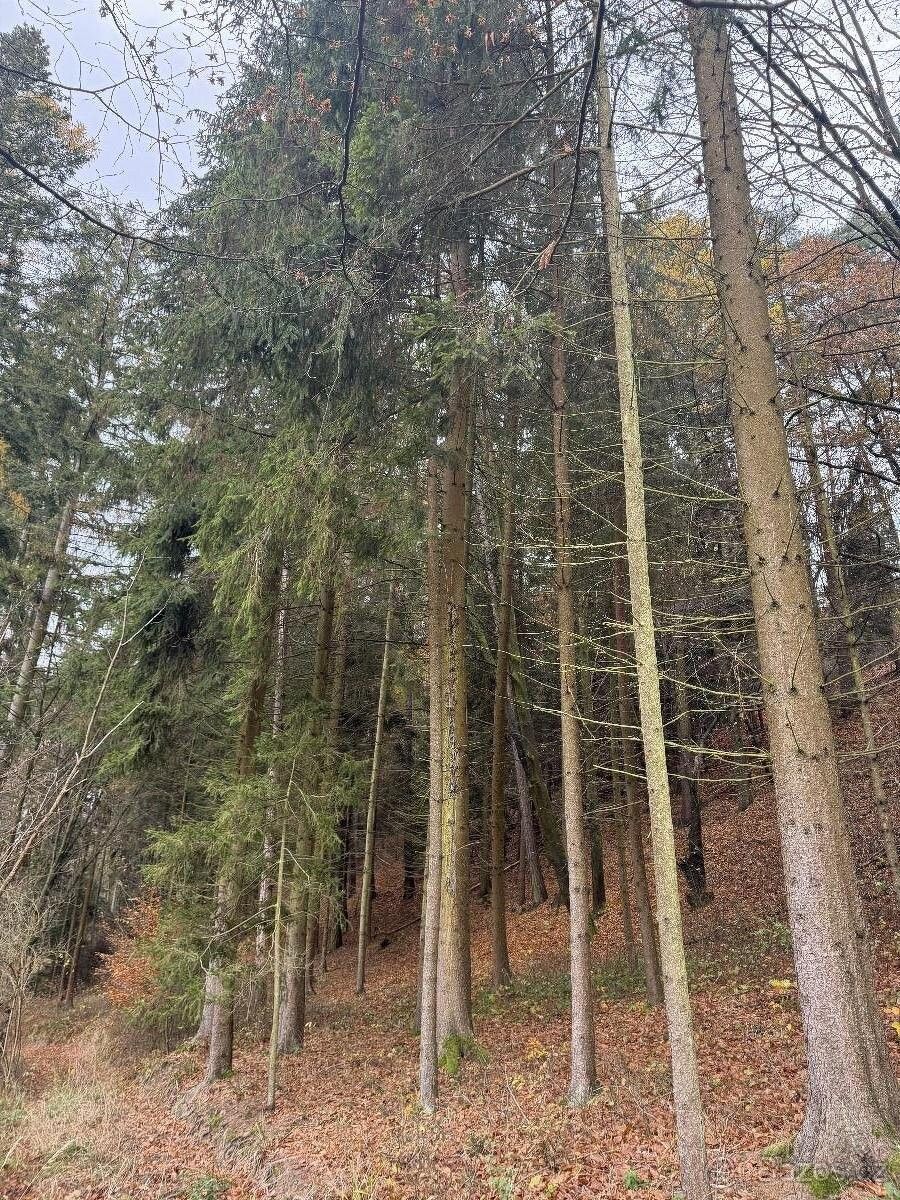 Pozemky pro bydlení, Slavětín u Litovle, 783 24