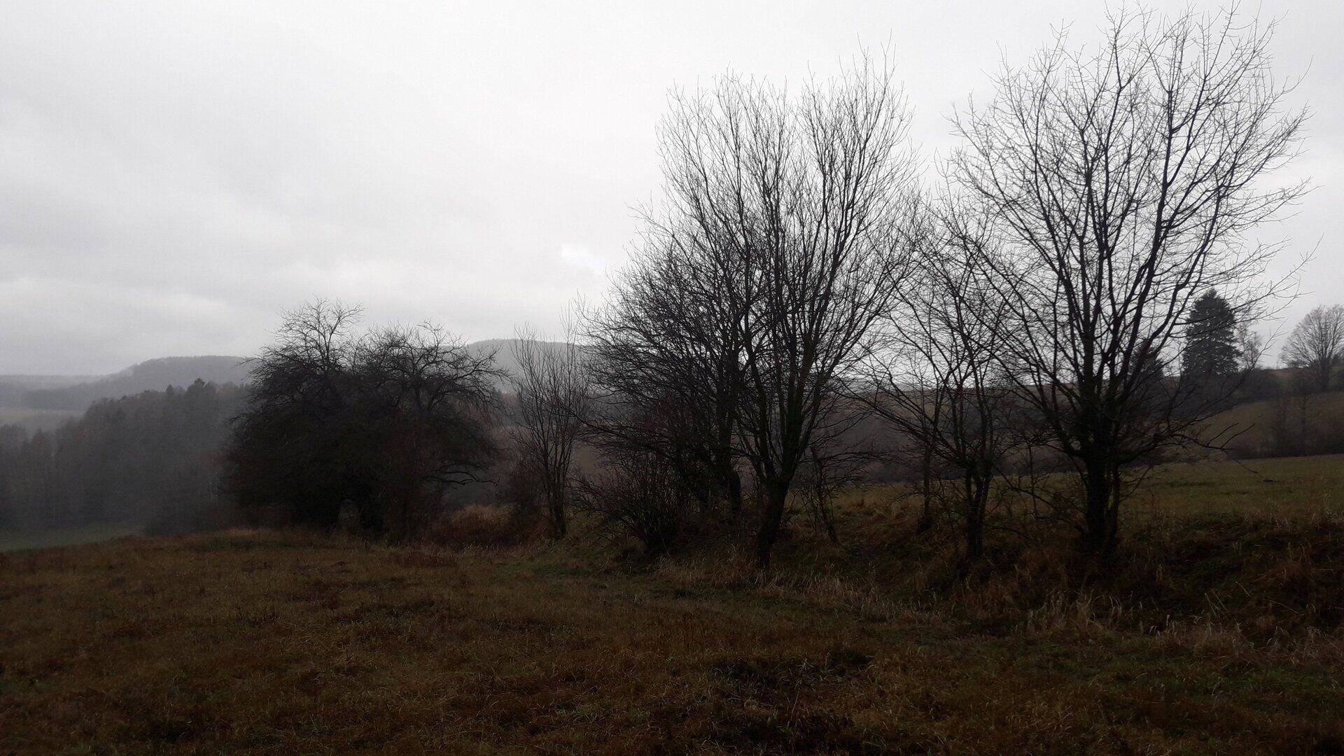 Zemědělský pozemek · 25 028 m² · Teplice nad Metují Dolní Teplice - 3