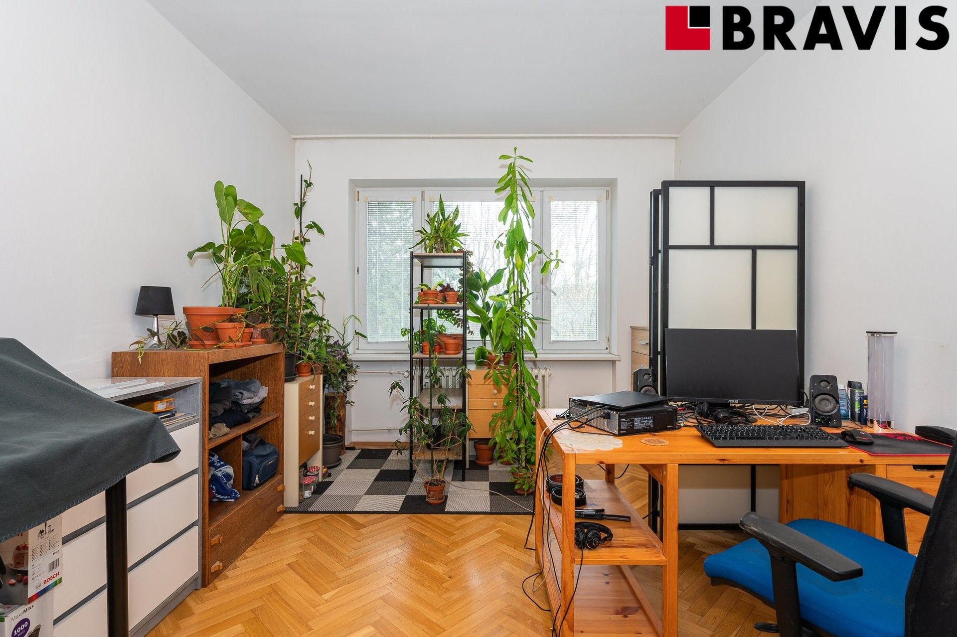 Prodej byt 3+1 - bratří Křičků, Řečkovice, Brno, 81 m²